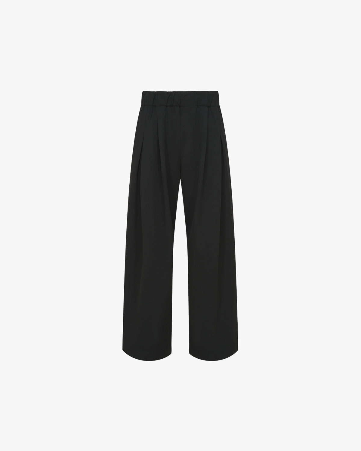'HUNG' Entity Wide-Leg Suitpants - Black